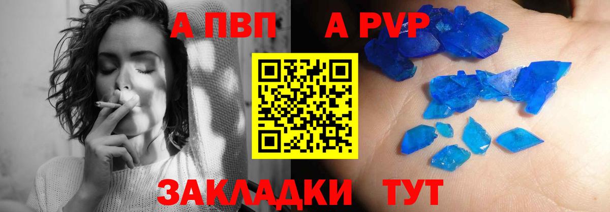 A PVP СК КРИС Великий Новгород