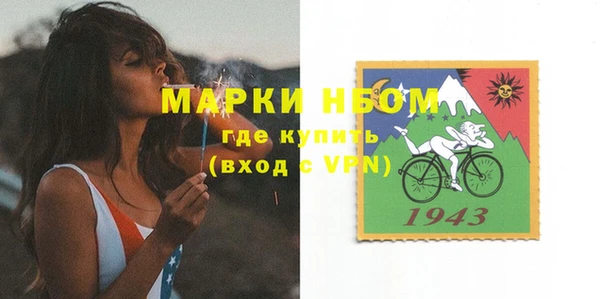 хмурый Абаза