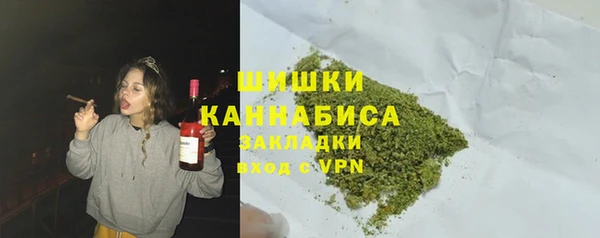 хмурый Абаза
