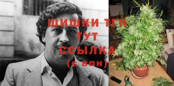 хмурый Абаза