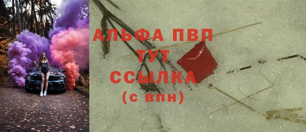 хмурый Абаза