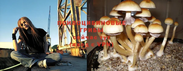 амф Абинск