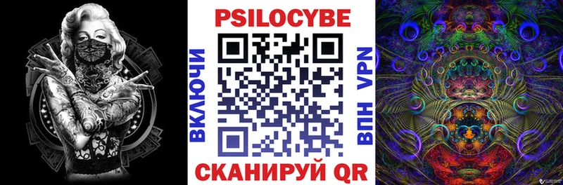 Псилоцибиновые грибы Psilocybe  Великий Новгород 