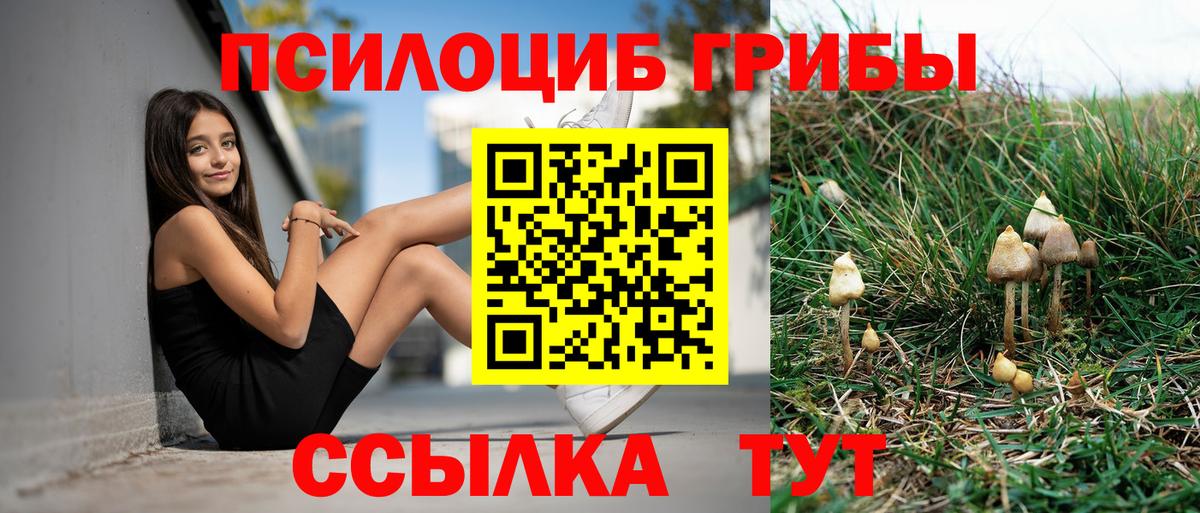 Великий Новгород  Галлюциногенные грибы GOLDEN TEACHER  Вход с VPN 