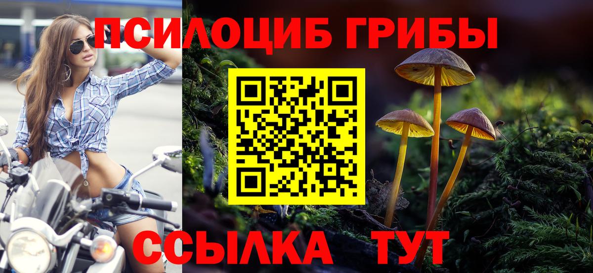 Галлюциногенные грибы GOLDEN TEACHER Великий Новгород