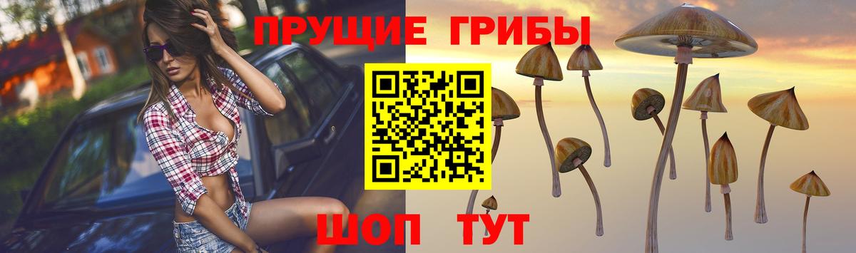 Великий Новгород  Псилоцибиновые грибы MAGIC MUSHROOMS  где купить наркоту  Вход с VPN 