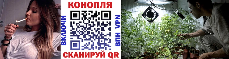 Конопля THC 21% Великий Новгород